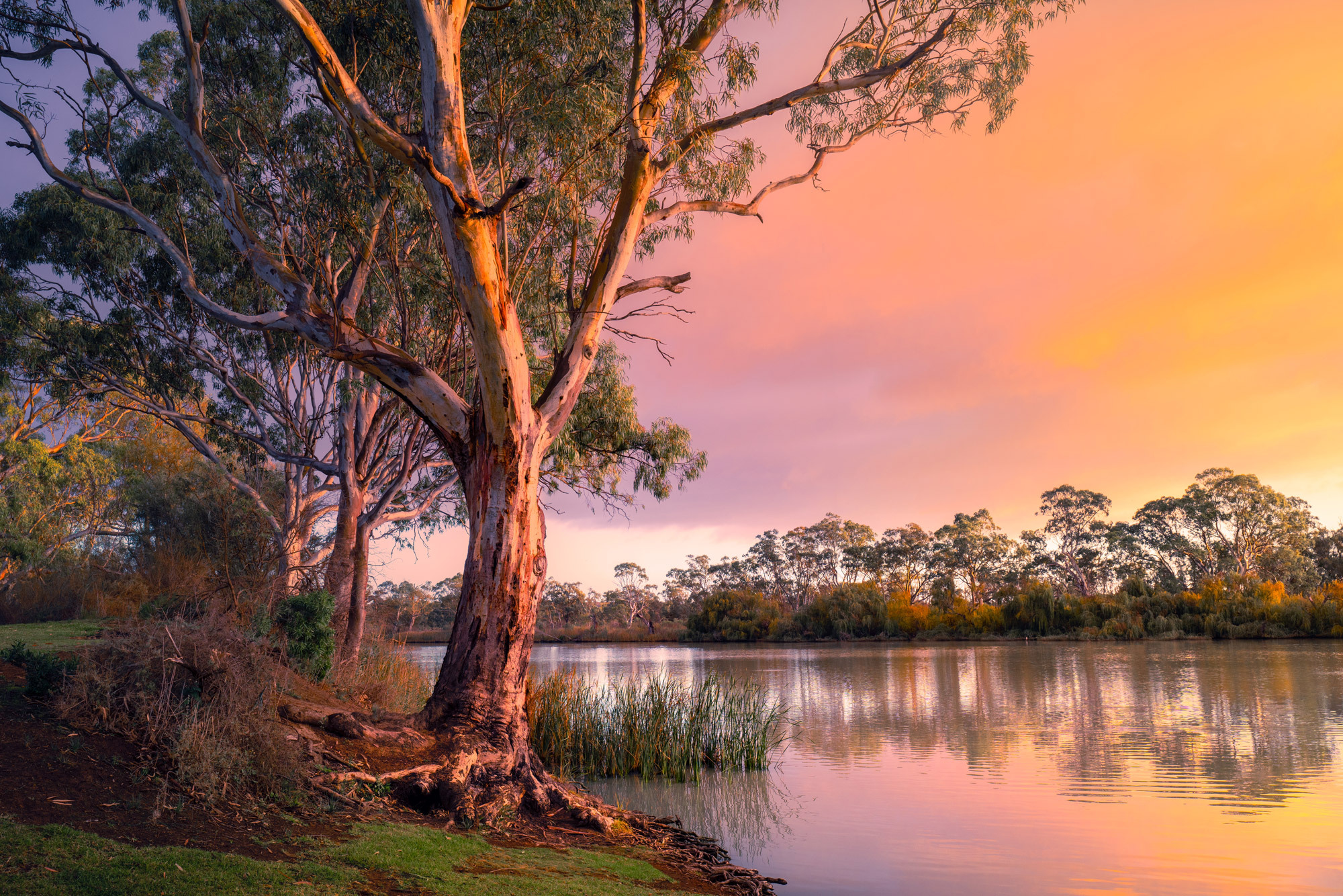 Image of an Australian Riverbank sunset